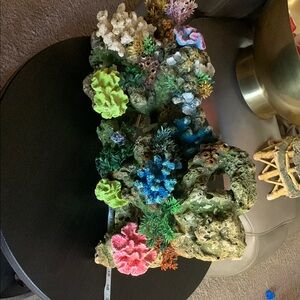 Colorful Coral Reef Home Accent